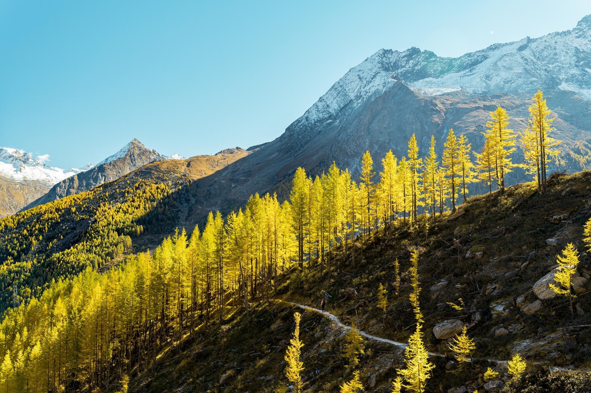Hotel Mistral*** Superior in Saas-Fee